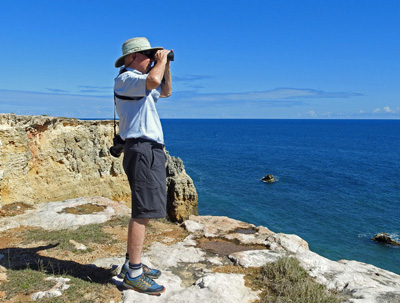 Birding in Puerto Rico