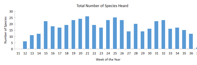 A graph with blue bars

Description automatically generated