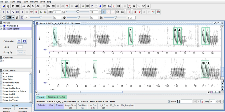 Graphical user interface, application, Excel

Description automatically generated