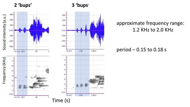 Chart

Description automatically generated