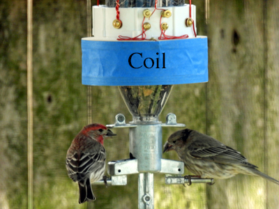 DC magnet on a bird feeder