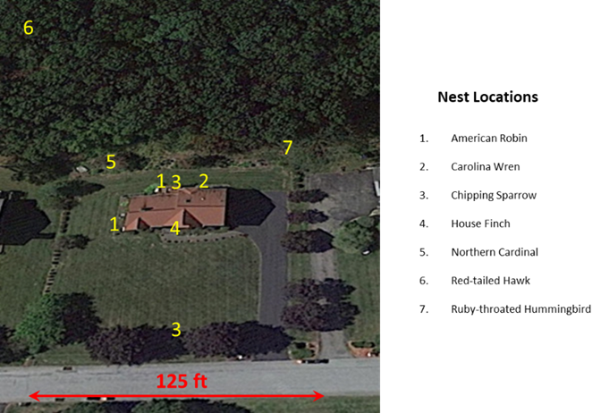 Bird's eye view of a nest location

Description automatically generated