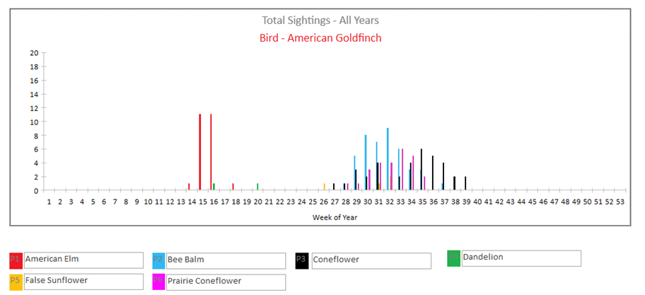 A screenshot of a graph

Description automatically generated