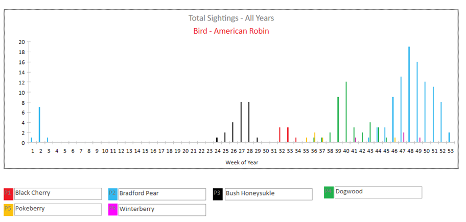 A screenshot of a graph

Description automatically generated